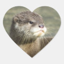 Search for baby otter stickers Wildlife