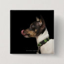 Recherche de chien de terrier badges Animal