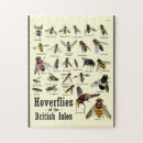 Search for hoverflies Hoverfly