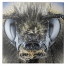 Recherche de bourdon carreaux Abeille