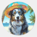 Search for summer dog stickers Beach
