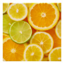 Recherche de motif tropical posters Décoration intérieure