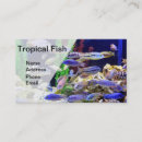 Recherche de poissons colorés cartes visite Aquatique
