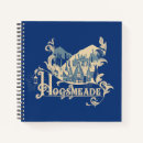 Search for graphic notebooks Magic