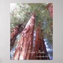 Recherche de vous manquer posters Nature