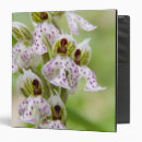 Search for flower spot binders Spotted