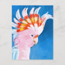 Recherche de neon cartes postales Tropical