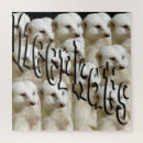 Search for unusual puzzles Animal