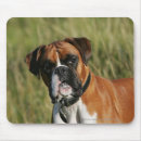 Recherche de chien boxeur tapis souris Rouge et blanc
