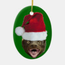 Search for badger ornaments Santa