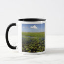 Search for frazier mugs America