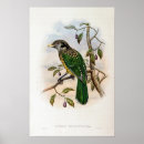 Recherche de john gould posters Vintage