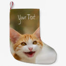 Search for kitten christmas stockings Cute