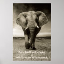 Search for elephant quotes posters Sayings