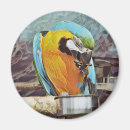 Search for macaws magnets Pet