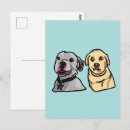 Search for dog meme postcards Animals