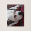 Search for boxer dog puzzles White