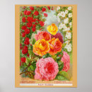 Search for catalogue posters Floral