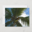 Search for coconut tree cards Palm