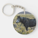 Search for mustang keychains Desert