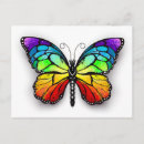 Recherche de papillon tropical cartes postales Coloré