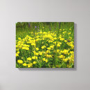 Recherche de fleur sauvage jaune art Plante