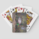 Recherche de canard jeux de cartes Étang