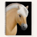 Search for icelandic horse Equestrian