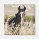 Recherche de tête de cheval magnets Partie du corps animal