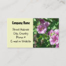 Recherche de roses trémière Jardins