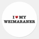 Search for i love weimaraners stickers Dog