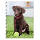 Search for labrador notebooks Cute