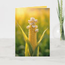 Search for corn vegetable cards Corn on the cob