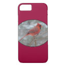 Search for cardinal iphone cases Bird