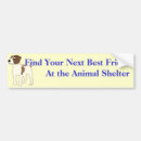 Search for pound bumper stickers Rescue