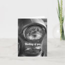 Search for chevy cards 1955