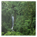 Search for hanging tiles Travel