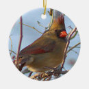 Recherche de cardinal photo ornements Cardinal du nord