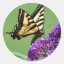 Search for macro small round stickers Yellow