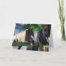 Search for gypsy vanner horse cards Animal