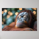 Recherche de orang outan posters Sauvage