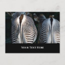 Search for funny wildlife postcards Humour