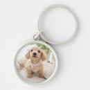 Search for miniature keychains Dachshund