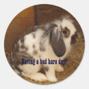 Search for hare stickers Rabbit