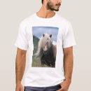 Recherche de poney shetland tshirts Cheval