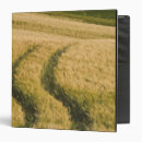Search for wheat binders Food