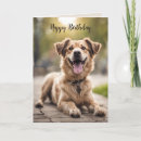 Search for smiling dog birthday cards Fun