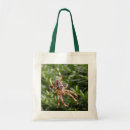 Recherche de araignée sacs Nature