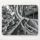 Search for root electronics Landscape