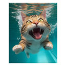 Search for cat swimming posters Water